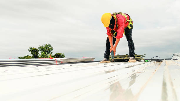 Best Skylight Installation and Repair  in Walnutport, PA
